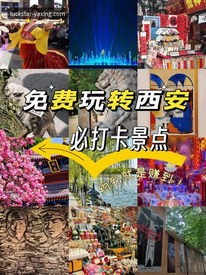 2026亚星娱乐APP下载安装包 vs 普通版本：哪个更适合你的移动娱乐需求？